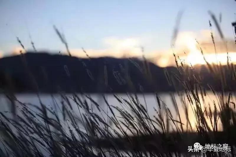 绉嬩箣瀚ｇ劧鐑熻姳鍚戞櫄,绉嬩箣瀚ｇ劧