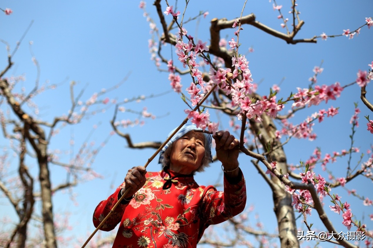 砀山英雄会,芒砀山英雄会