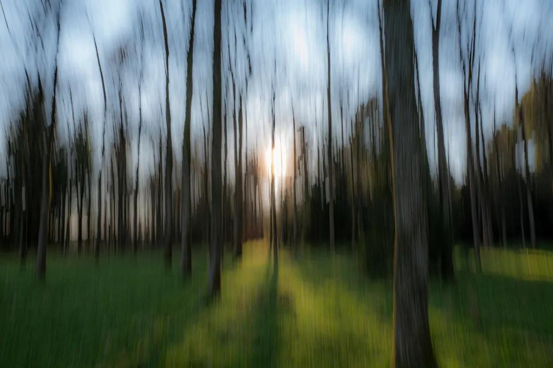 徕卡qp详细评测,自用徕卡q-p相机