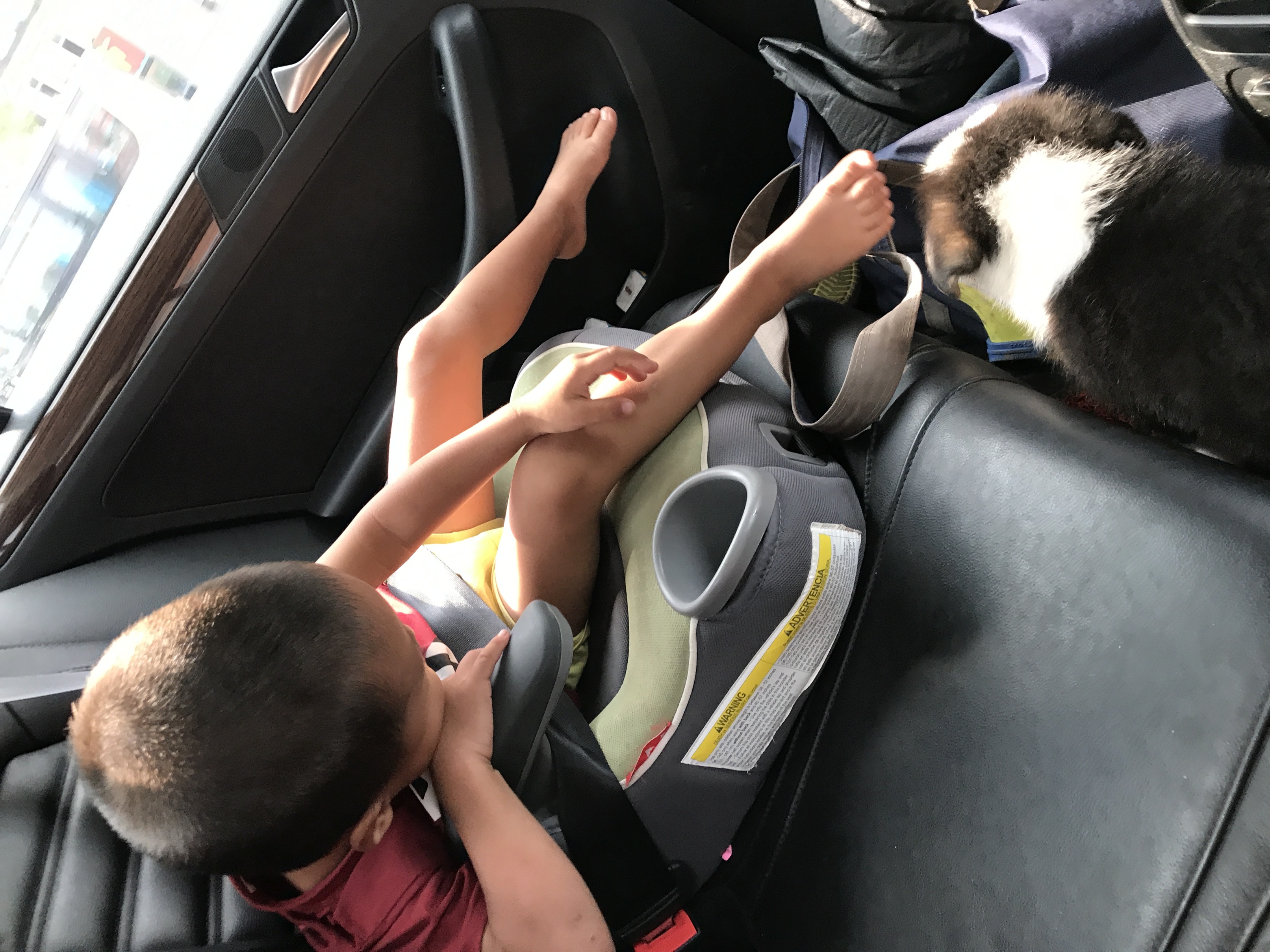 我与汽车的日常速腾,9年10万公里的速腾还值得买吗