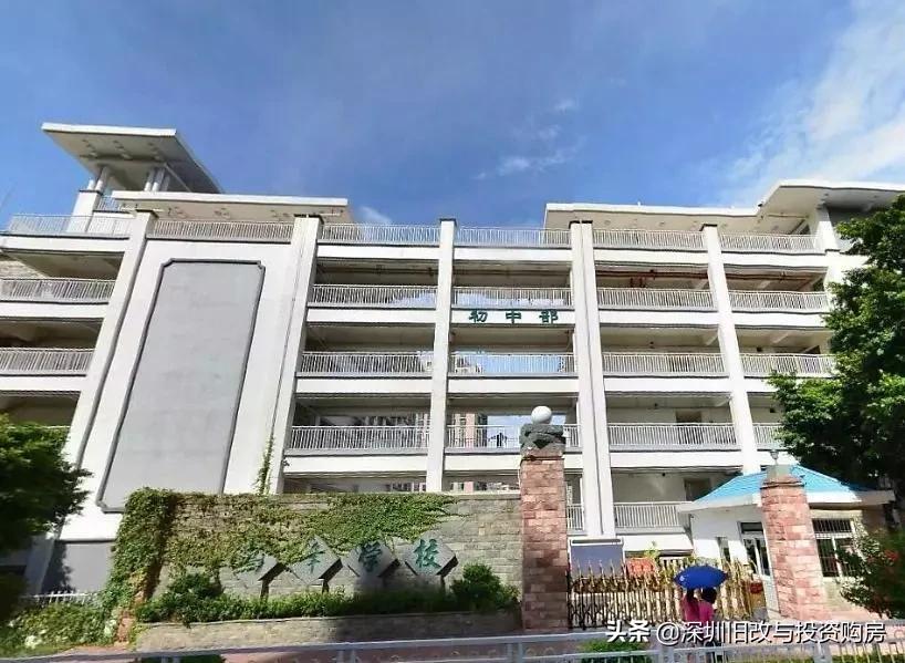 深圳龙华区中学排名前十名一览,深圳2022龙华高中名校排名