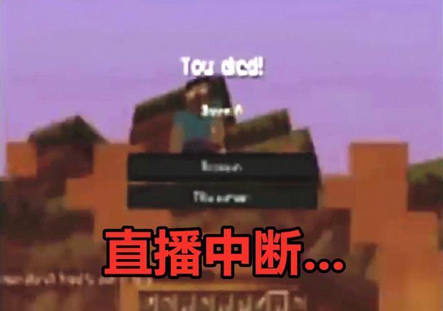 我的世界him是如何诞生的,我的世界him是坏还是好的