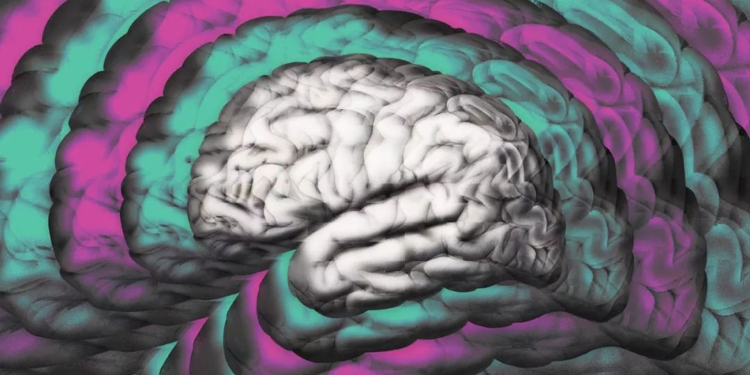 发达国家人口越来越笨？美学者担忧智商爆跌致全球经济前景黯淡