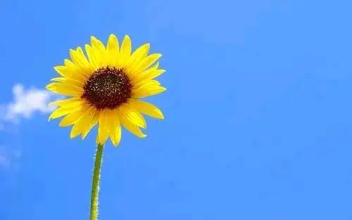 中国十大治家经营之道,中国十大商帮的经商之道