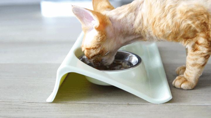 净热一体净水器佳尼特缺点,佳尼特冷热一体净水器缺点