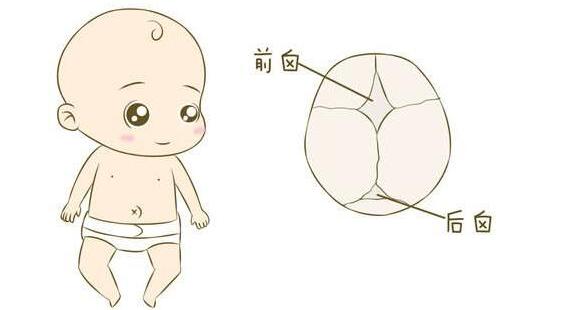 补充ad和dha导致囟门闭合过早,新生儿囟门大可以ad和d3一起补吗