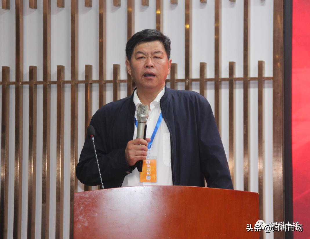 山东活力集团青岛,活力集团新品发布会