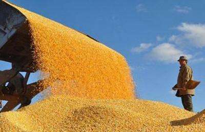 粮食酒与酒精酒有什么区别,粮食酒与酒精酒的区别对比