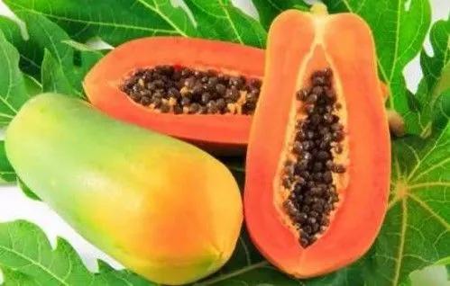 广西梧州最好的果园,梧州摘水果的地方