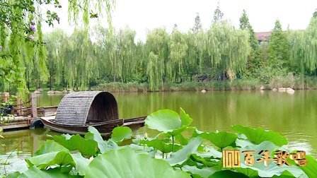 潍坊一中绝美照片,一中美丽景色