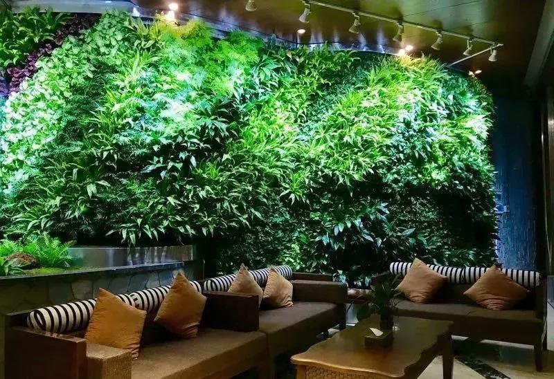 昆明市内最值得去的17个约泡圣地，去了你还想去！