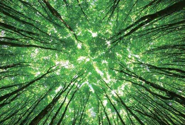 樊登低风险创业四个问题,樊登低风险创业完整版