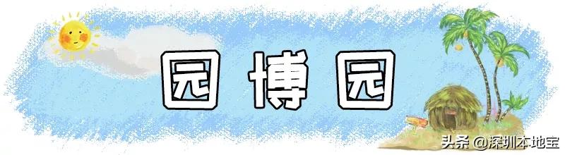 深圳有哪些地方免费景点,深圳都有什么景点免费游玩