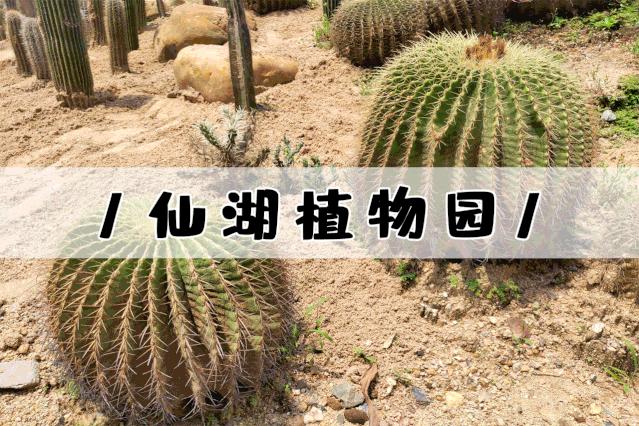 深圳遛娃50个必去的主题公园,深圳遛娃必去景点免费全部列表