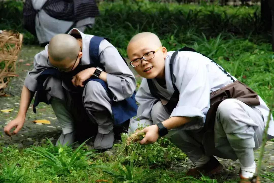 农禅并重完整版,农禅并重的寺院