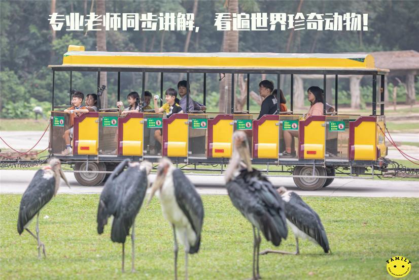 广州长隆儿童欢乐世界春节,广州长隆欢乐世界春游儿童玩什么