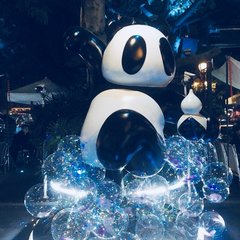 成都游玩攻略高铁,成都大冬天旅游攻略图