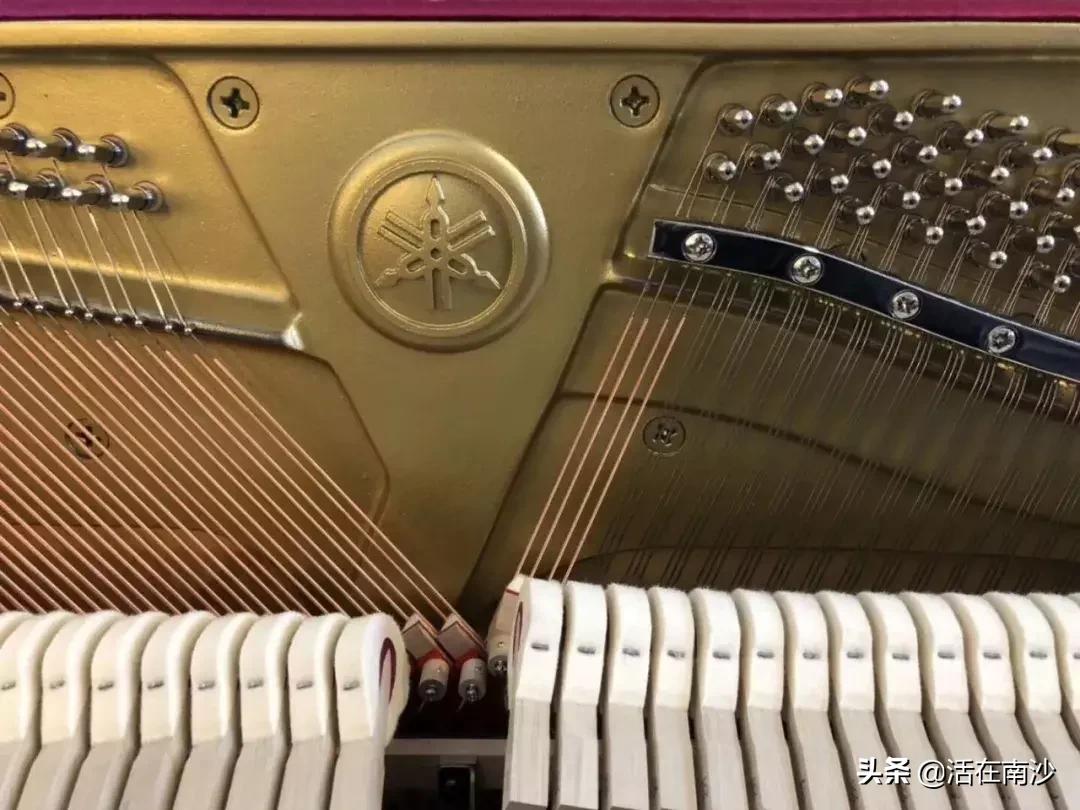 广州卓越雅马哈钢琴专卖店,雅马哈钢琴旗舰店价格表