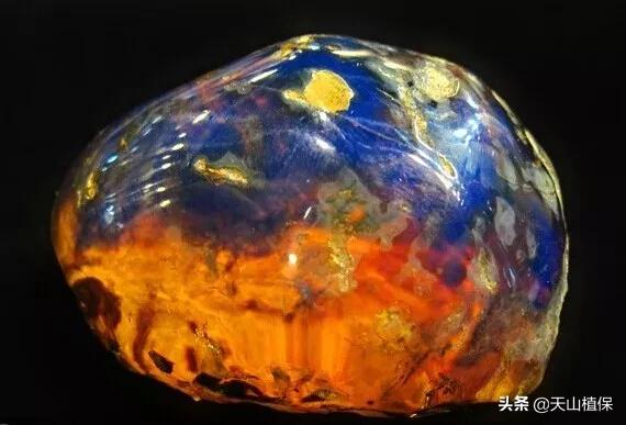 怎么捡到价值极高的石头,捡到一块石头价值千万