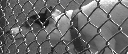 测灵魂有多重怎么测,科学家测试灵魂是否存在