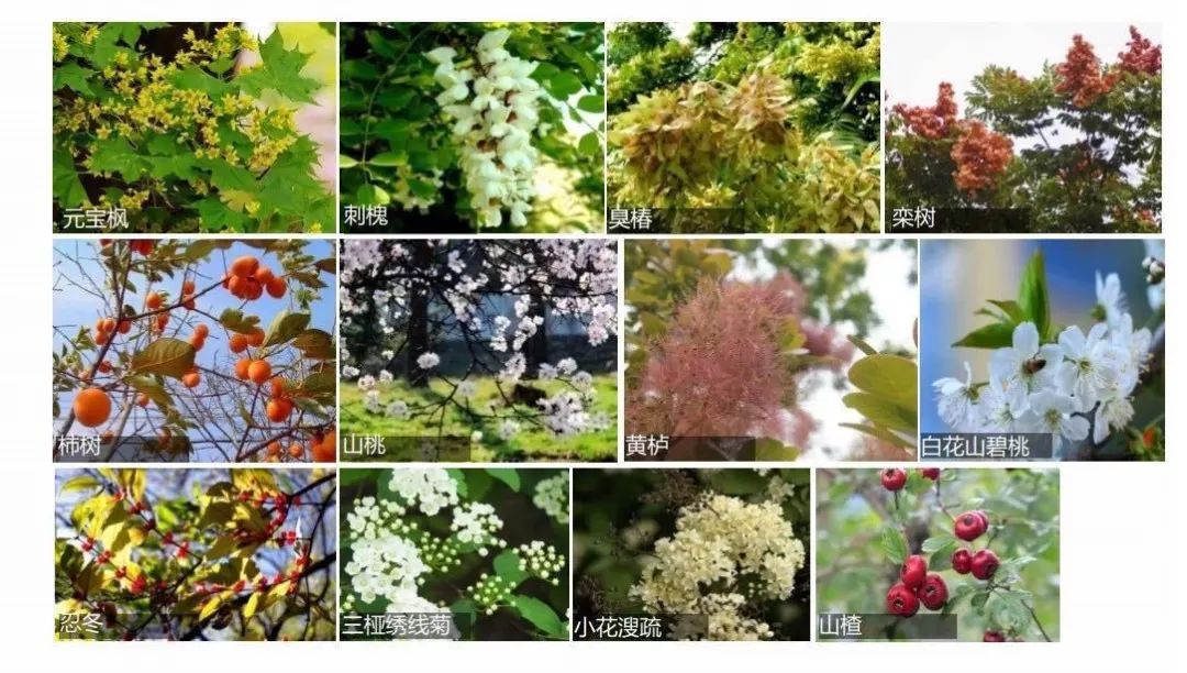 cbd白领生活,北京cbd白领下班回家