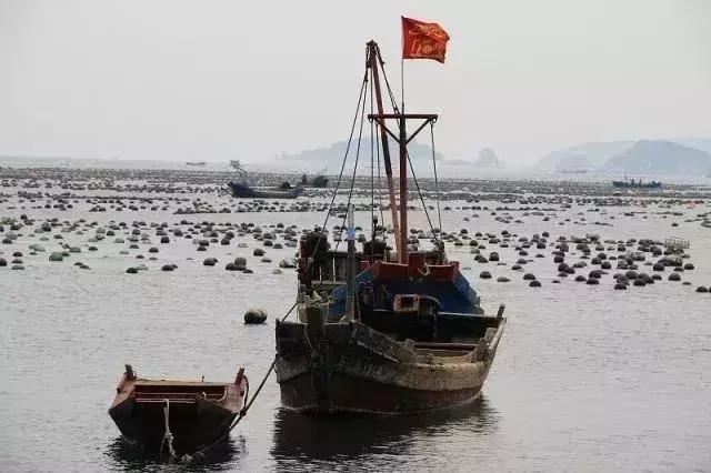 钓鱼大连海钓,大连钓鱼海钓季节