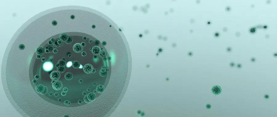 手术后宫颈癌放疗能根治吗,宫颈癌晚期复发用靶向药有用吗