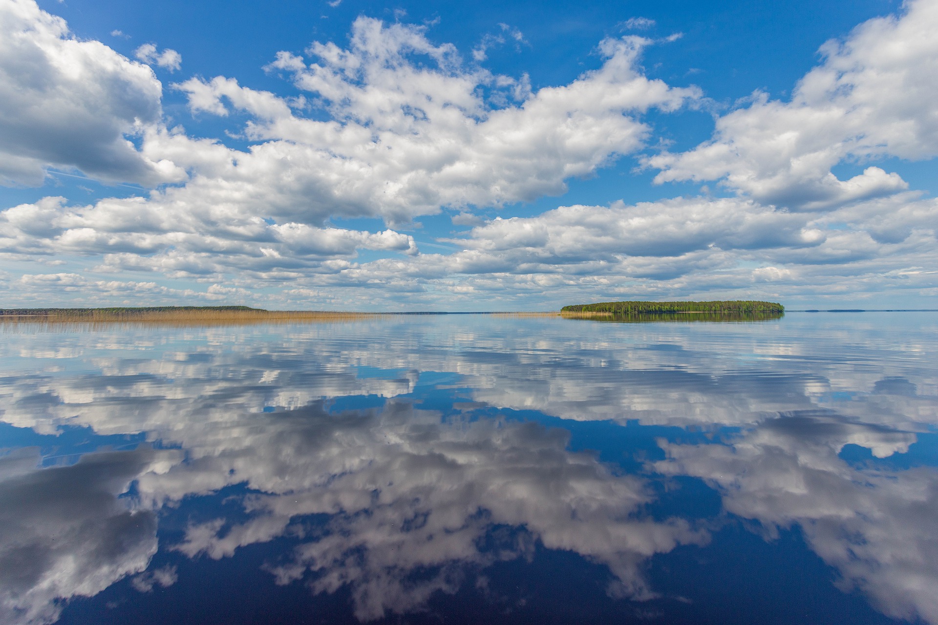 八年级上册生物期末必考的知识点,八年级上册生物性状的遗传知识点