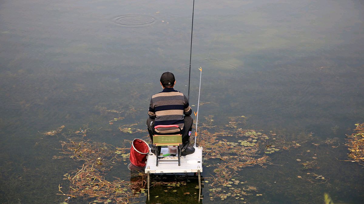 春季水草钩怎样夜钓,河里水草多钓鱼技巧