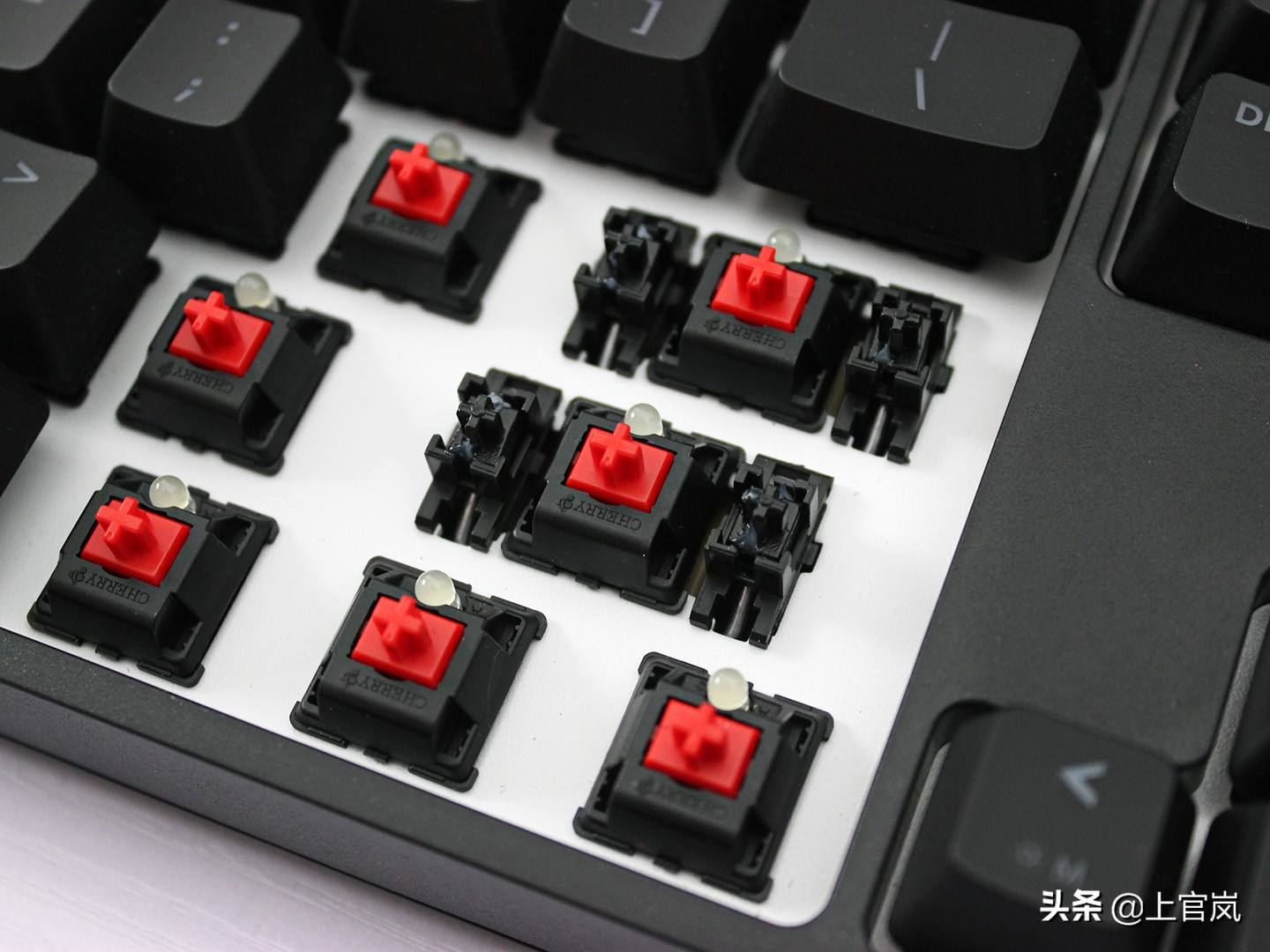 好马也吃回头草完结,好马不吃回头草完整版后续