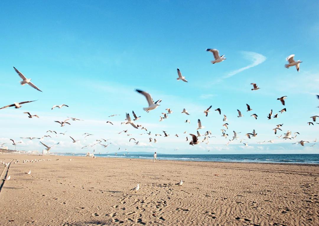 河北唐山海岛旅游攻略,唐山海岛