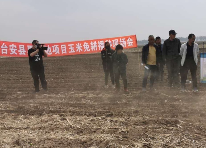 台安减脂餐,台安县减脂