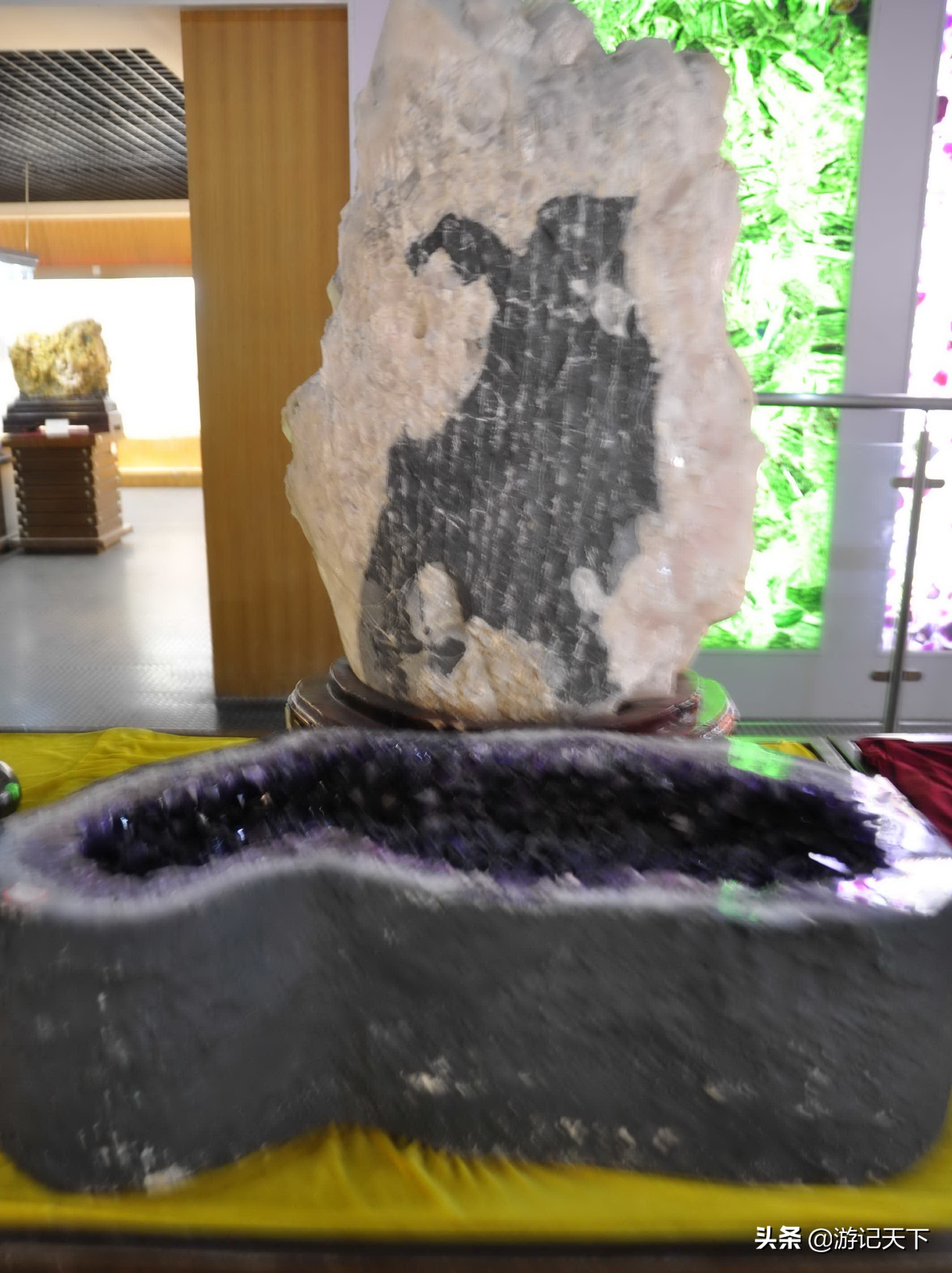 参观上海东方地质科普馆,上海东方地质科普馆需要预约吗