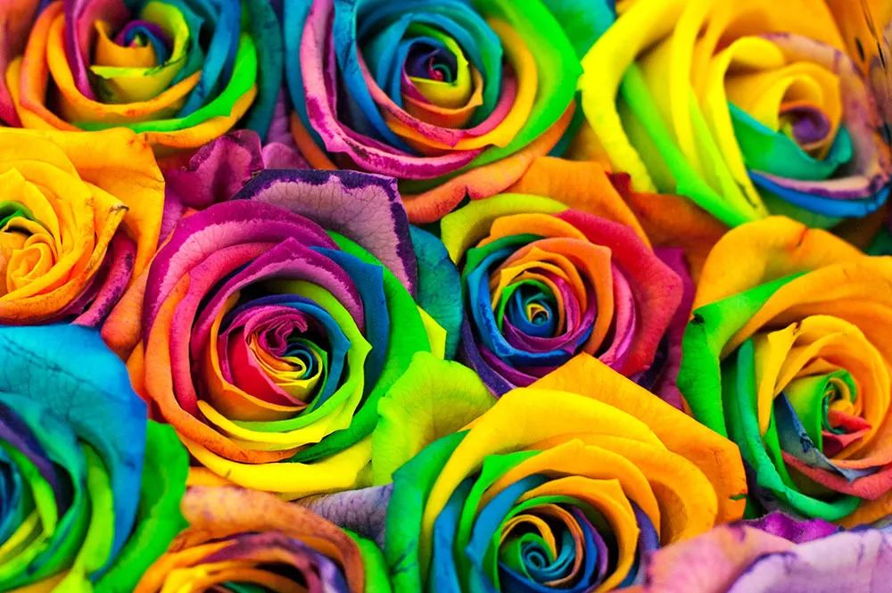 感温变色杯有毒吗,感温变色杯是否对人体有害