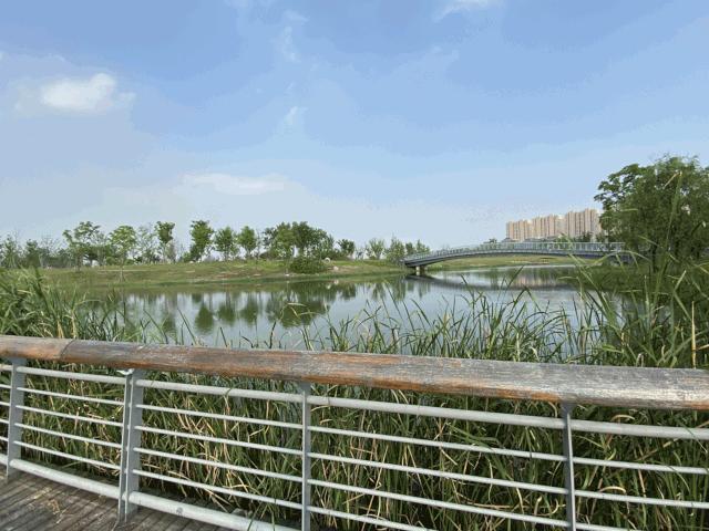 大动作不断！S1站、老街…改造加速，昆山这里将腾飞