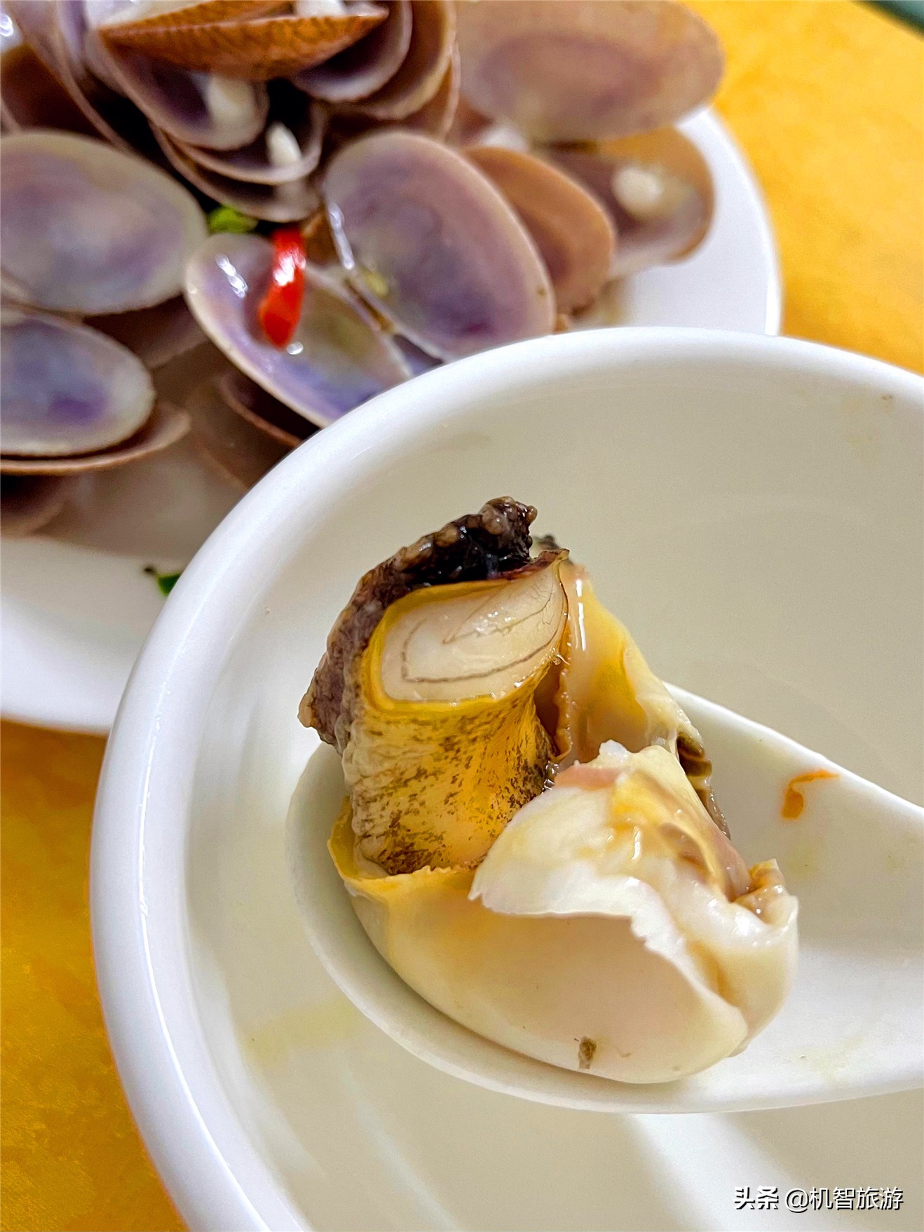 日照渔家乐吃住行，提前了解当地渔家住宿餐饮概况这份攻略就很可