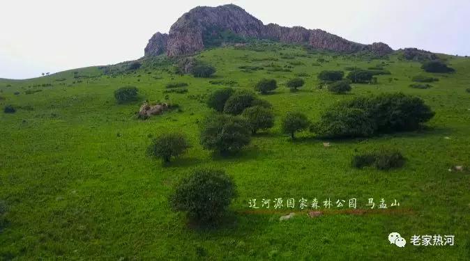 我心中的圣地原唱,我心中的圣地演唱