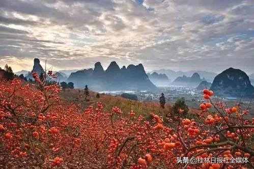 医护人员去桂林旅游,桂林市医护人员免费景区