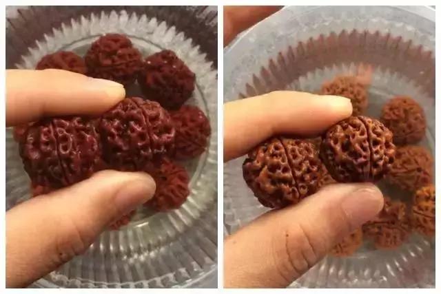 金刚菩提变黑怎么补救,金刚菩提变黑后用什么刷子