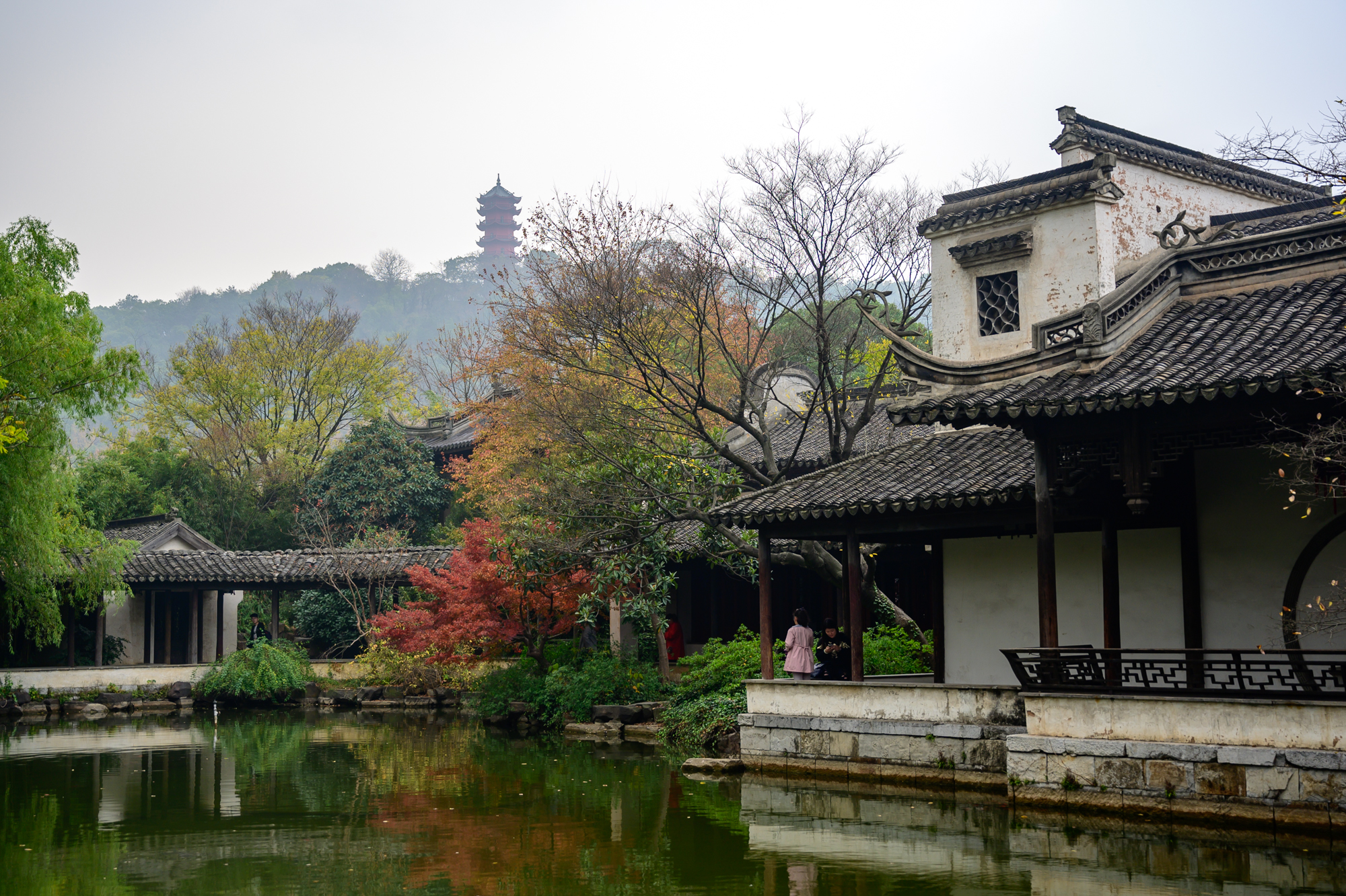 无锡太湖明珠全部视频,无锡太湖仙岛旅游景点
