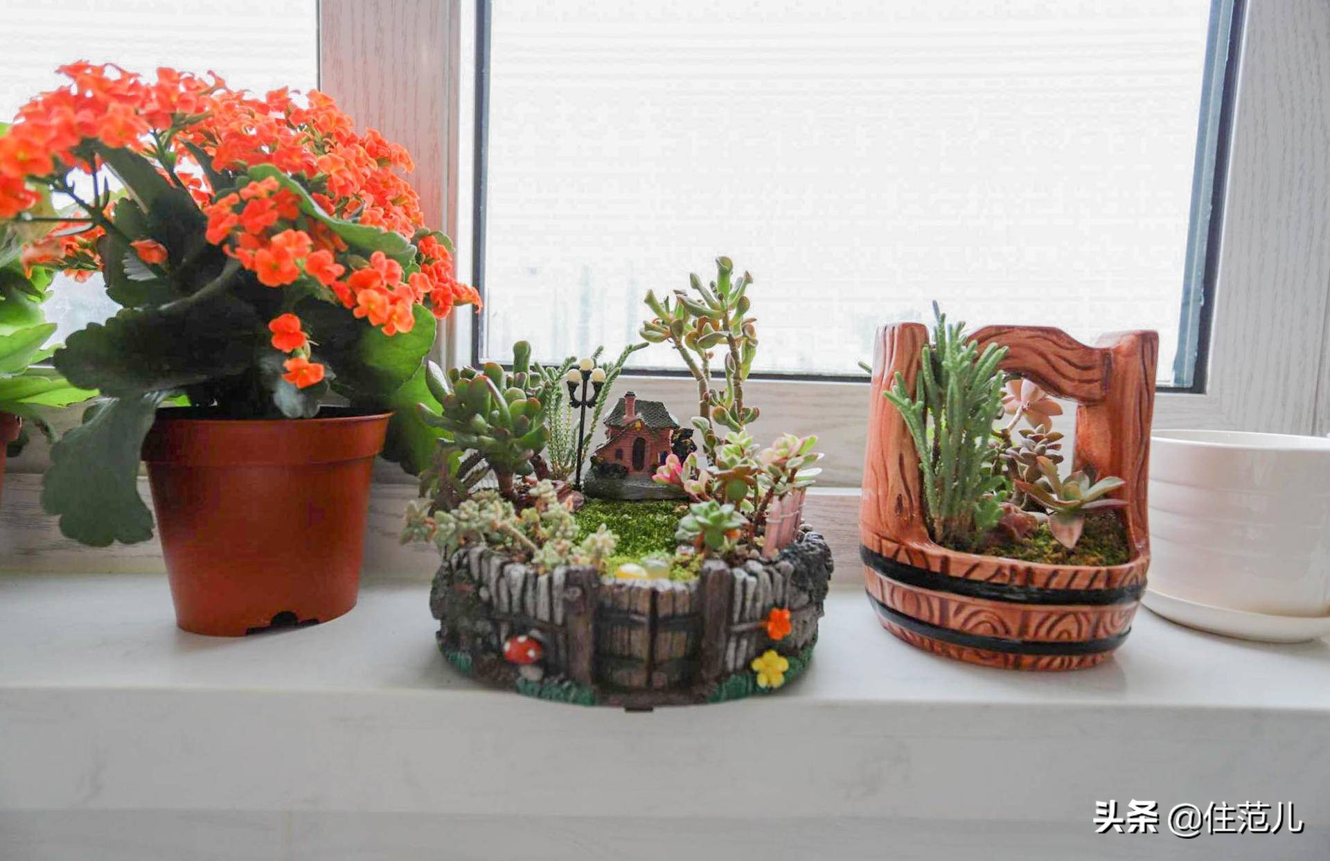 58㎡两室一厅，小户型也能拥有中岛厨房，父母硬核装修胜过年轻人