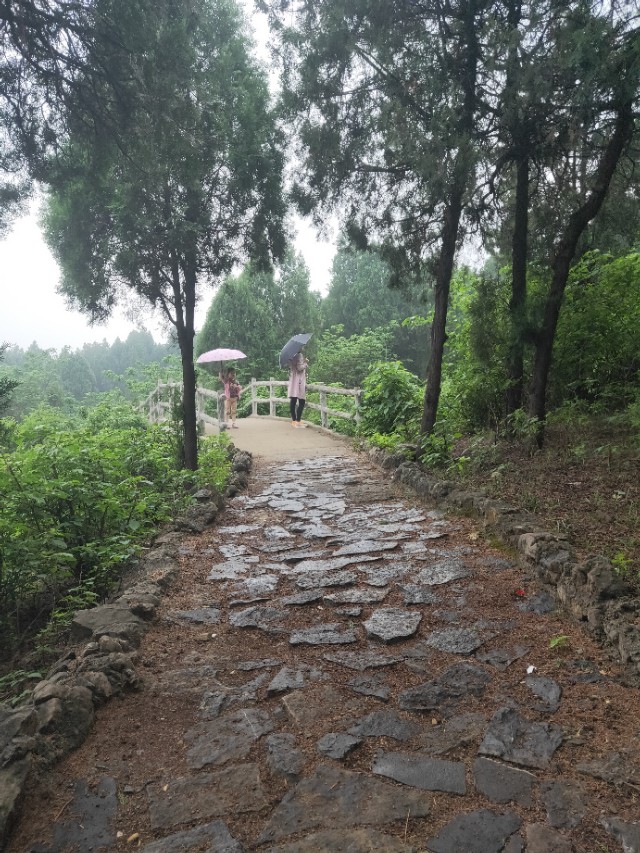 沂南雨雪天气,沂南天气晴