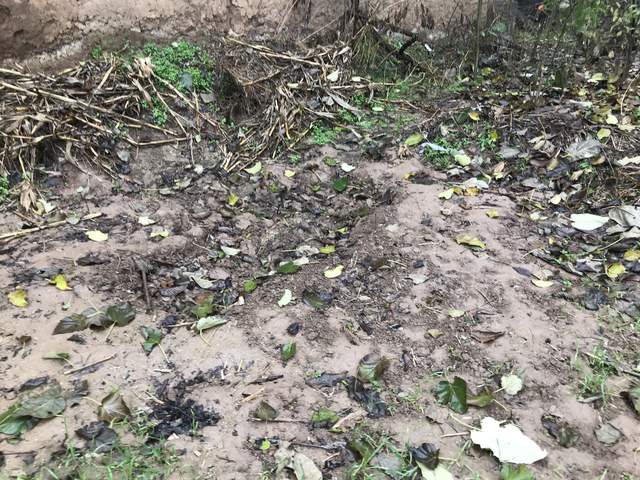 陕西15岁学生被6人围殴致死遭掩埋,陕西15岁少年遭围殴致死埋尸农田