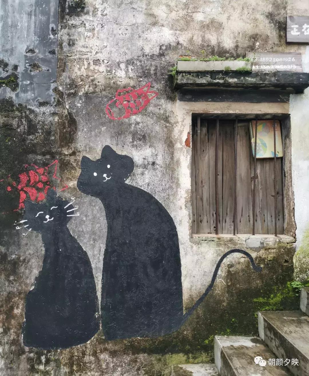 新会石板沙最好的地方,江门石板沙村旅游介绍