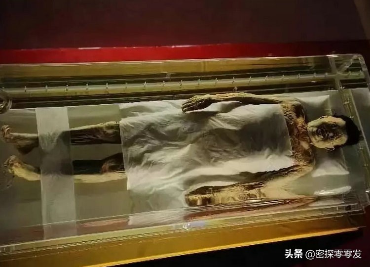 日本想要马王堆汉墓的头发 (马王堆汉墓女尸头发有什么价值)