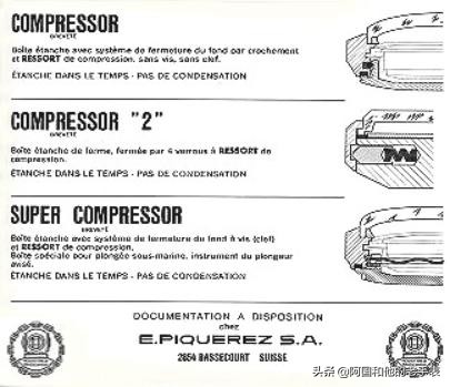 50年后的相见两只西铁城水鬼