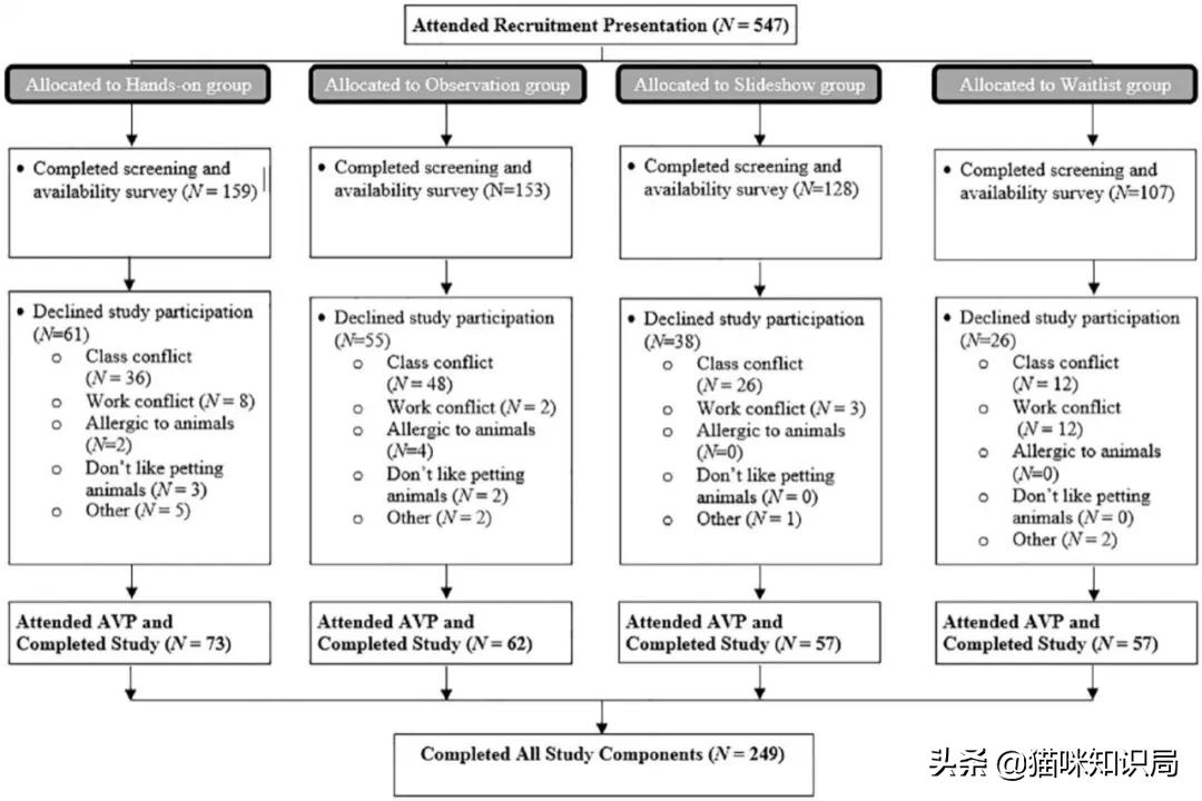 给父母养狗养什么样的,给家里养猫的好处