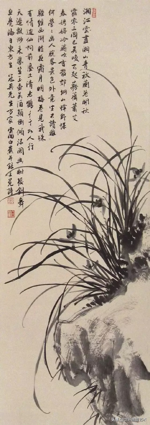 兰花和书法,当兰花遇到书法雅字