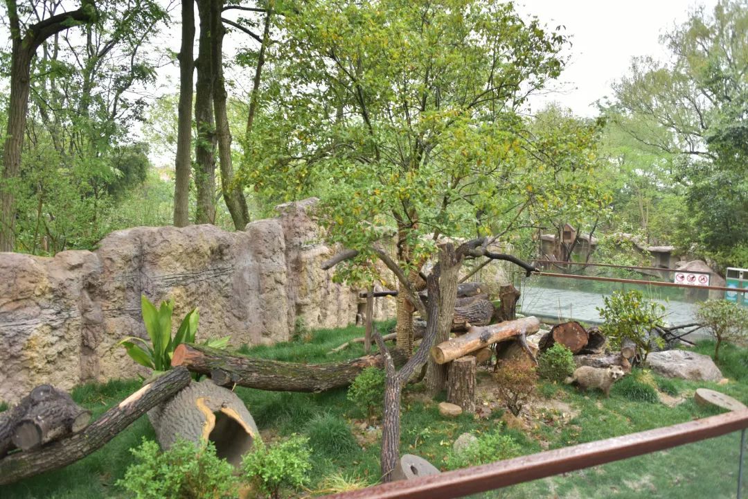 你知道吗？最早的西郊公园，竟然是个“马厩”~