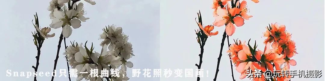 snapseed手机修图各种功能,snapseed修图功能视频介绍